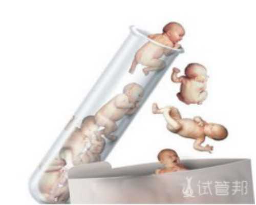 武汉5a级助孕公司,武汉试管有用吗,武汉试管婴儿费用是多少