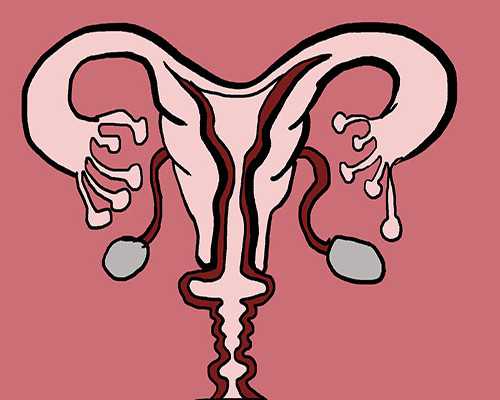 武汉代生医院正规吗,武汉供卵助孕试管(武汉供卵试管助孕机构)