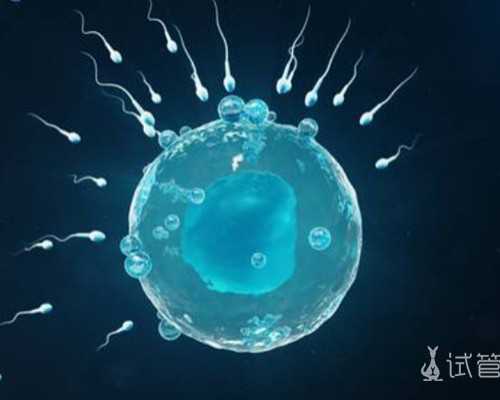 武汉代怀机构价格,湖北武汉正规供卵机构有哪些?武汉供卵试管婴儿费用一览