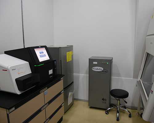 武汉代怀试管费用,武汉供卵生殖中心,武汉供卵试管中心