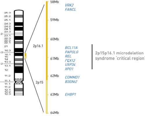 武汉去代孕生子哪家好,武汉市做试管婴儿费用有哪些?武汉市做试管婴