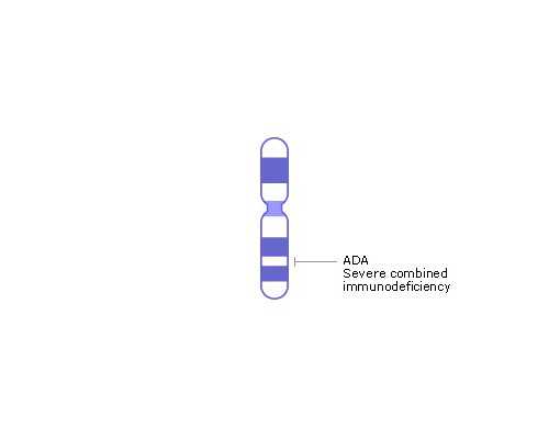 呼和浩特单身试管婴儿机构？呼和浩特单身试管婴儿机构？