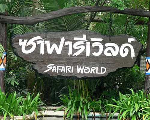 武汉怎么去代怀,武汉供卵要花多少钱(在武汉做试管要多少钱)