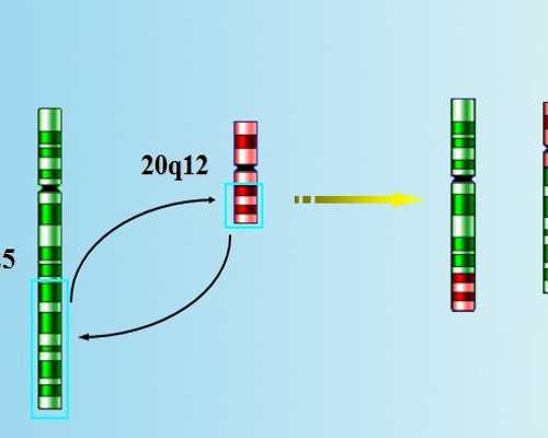 武汉可以代生吗,武汉41岁三代试管成功率,武汉试管婴儿费用