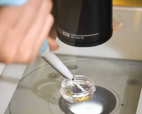 武汉代生包儿子,武汉第三代试管婴儿包生男孩费用大概是多少?