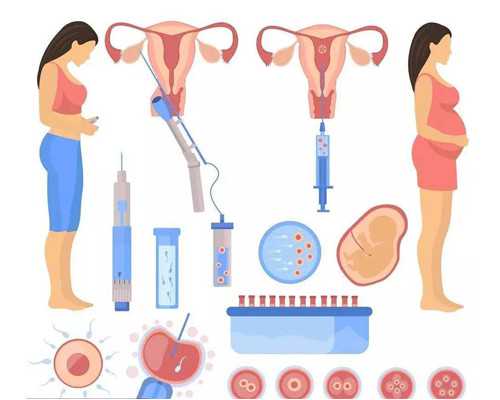 武汉最便宜代孕价格,武汉同济试管费用(武汉做试管大概费用)