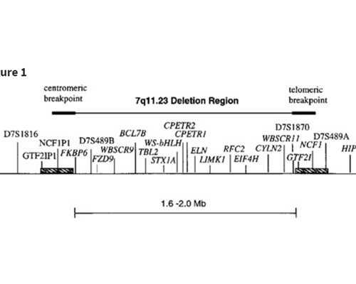 武汉供卵医院排名,武汉供卵试管婴儿武汉供卵试管婴儿医院