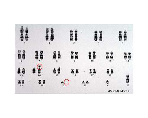2023黑龙江试管婴儿排名：