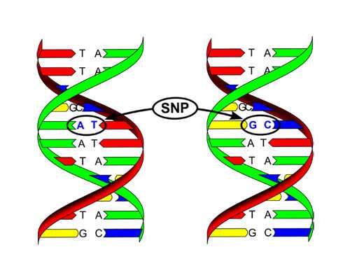 辅助生殖的繁荣与隐忧：民资加速进场 核心问题难解