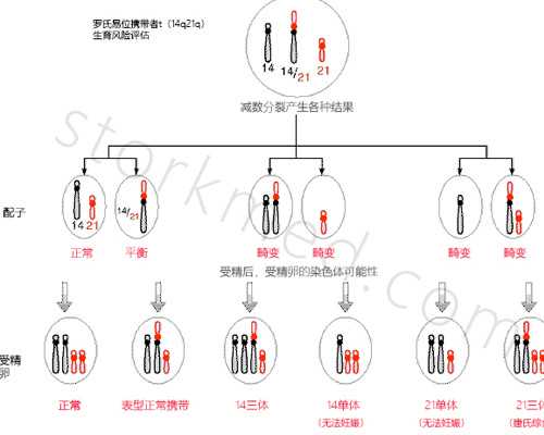 武汉代怀包男孩价格,武汉三代试管包成功，武汉试管找哪个医生
