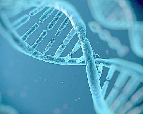 高龄三代试管囊胚筛选通过率：试管婴儿植入的过程