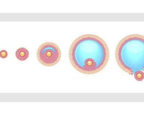 子宫动静脉瘘是什么意思~试管代生官网