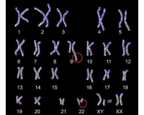 武汉靠谱代怀中介,武汉试管包成功费用,武汉试管包成功机构