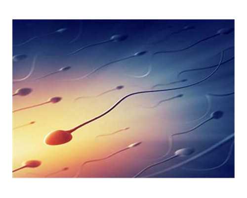 武汉包成功代孕多少钱,武汉供卵三代试管包男孩医院排名?附医院介绍?