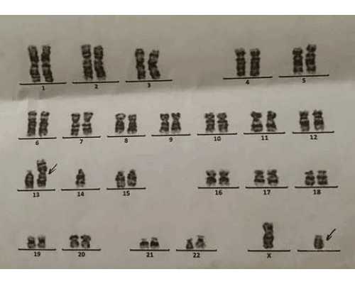 武汉代怀生儿子费用,武汉中南医院试管冻胚移植成功率高吗？