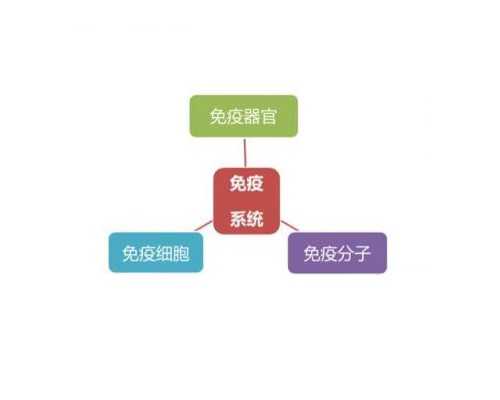 武汉代孕套餐价格,武汉供卵三代试管(武汉供卵试管去哪有)