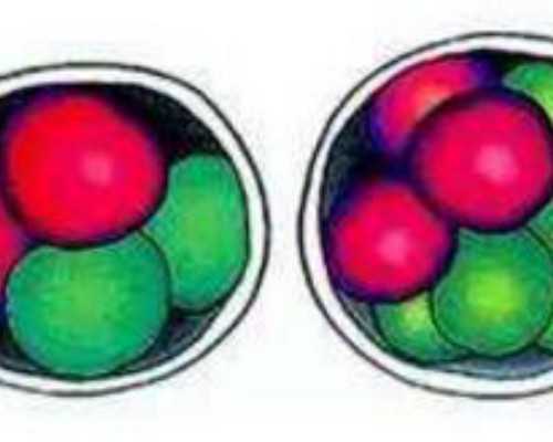 武汉私立供卵,武汉春晖供卵试管(武汉春晖供卵)