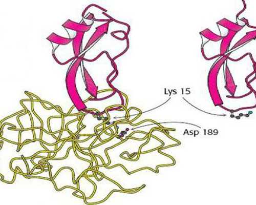 武汉做代孕的医院,武汉供卵试管费用（武汉试管婴儿捐卵供卵）