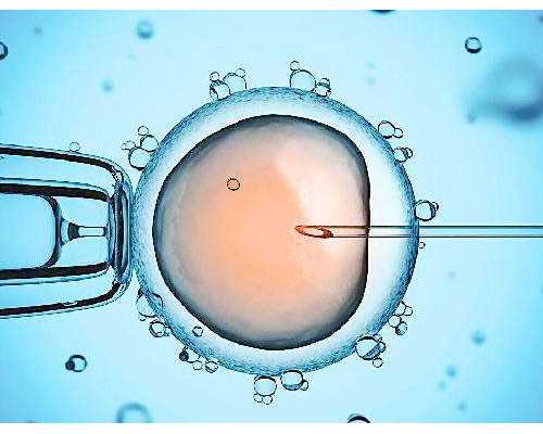 武汉正规的供卵,武汉正规供卵试管医院,武汉正规供卵机构