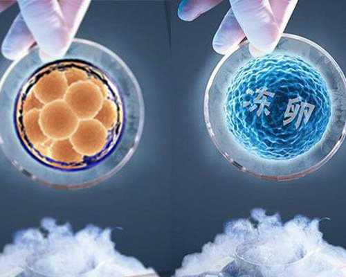 武汉有代生小孩的么,武汉同济医院做试管,武汉同济做试管多少钱