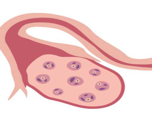 如何改善子宫环境,试管费用揭晓!~捐卵机构电话