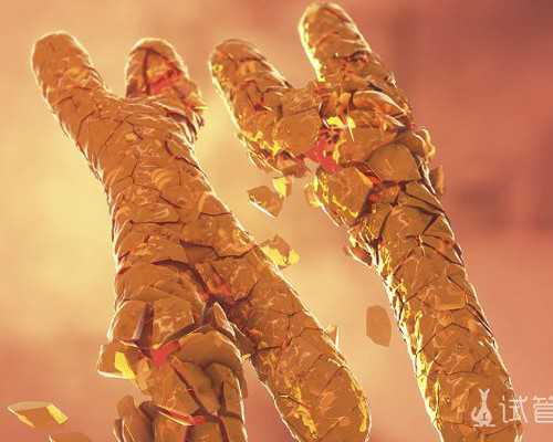 武汉公立代怀包男孩,西宁供卵包性别,武汉供卵三代试管包性别