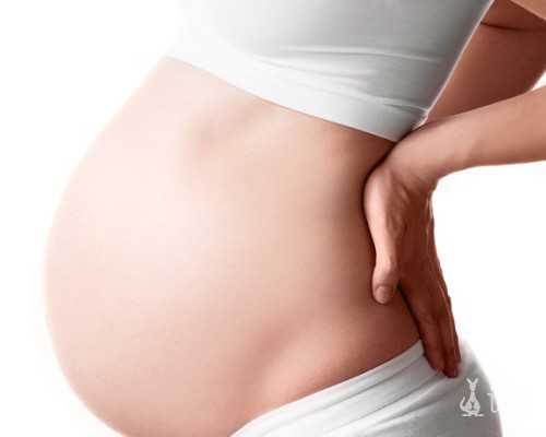 武汉代怀妈价格表,武汉同济试管费用(武汉做试管大概费用)