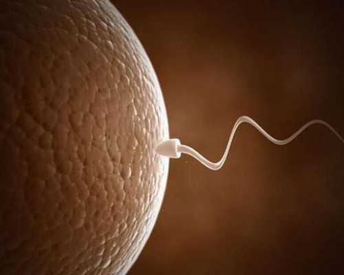 三代试管胚胎8b成功率~助孕公司价格表