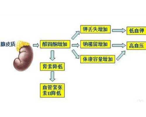 卵泡大小正常范围是多少mm~优质代妈