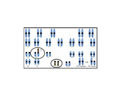 女性为提升试管成功率做的准备？女性做试管婴儿的准备