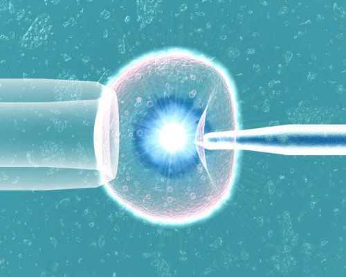 武汉供卵生子网站,武汉同济医院-武汉试管婴儿收费标准