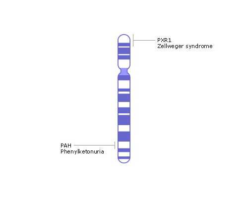 武汉靠谱代孕价格,武汉41岁三代试管成功率,武汉试管婴儿费用