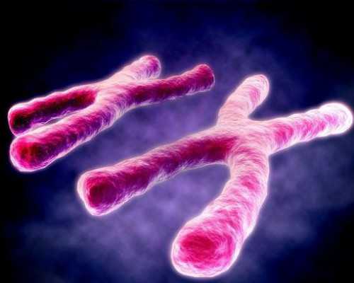 武汉做代怀价格,武汉春晖供卵试管(武汉春晖供卵)