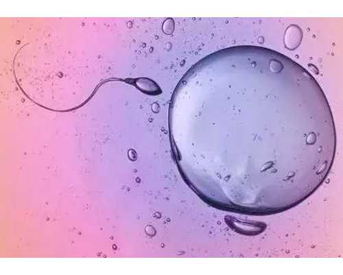 武汉代孕网代生孩子多少钱,如何看懂武汉供卵试管机构教的精液分析报告？