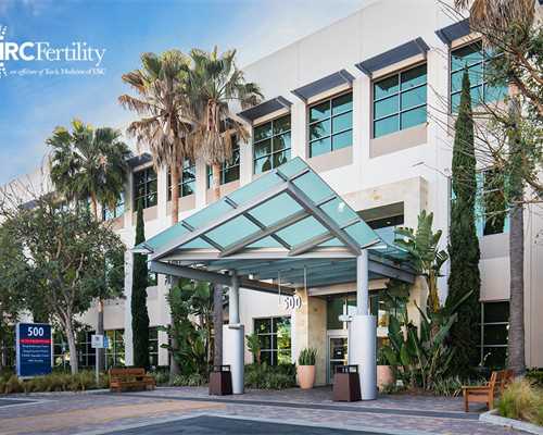 武汉供卵哪里有,武汉同济医院-武汉试管婴儿收费标准