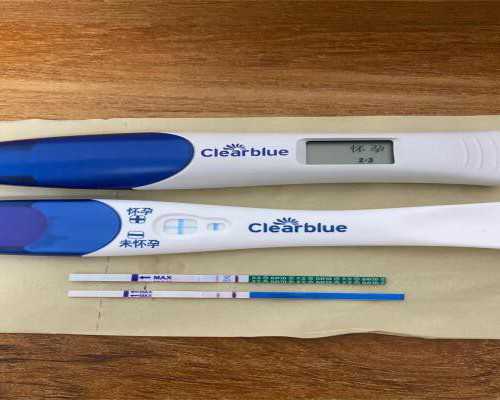 武汉试管代孕权威医院,武汉试管费用(武汉做试管费用需要多少)