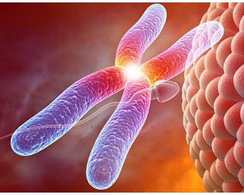 武汉代孕生殖套餐,武汉助孕机构供卵试管包生男孩