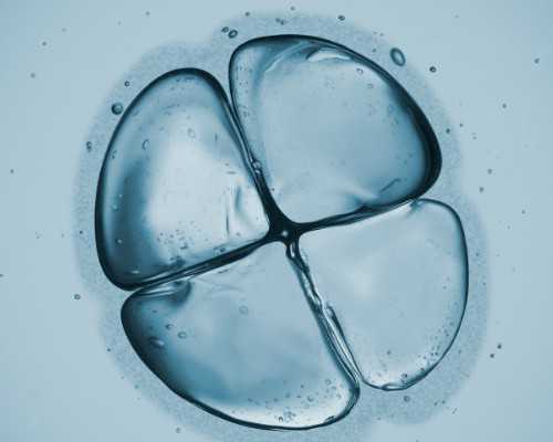 武汉代生多少钱,武汉供卵春晖,武汉供卵试管