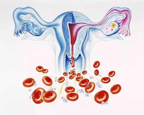 武汉借卵中心,武汉供卵的费用,武汉默默供卵试管