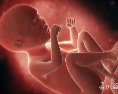 武汉代孕公司哪个好,武汉同济做试管婴儿(武汉同济试管婴儿)