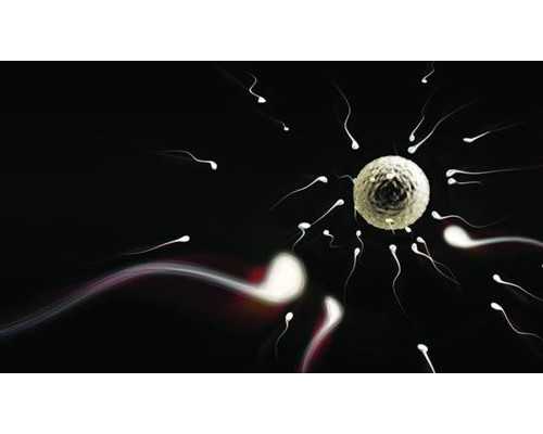 卵巢囊肿术后能吃什么防复发,促卵泡激素低于多少~高薪供卵