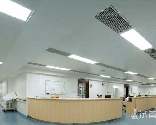 正常宫颈口形状图片~试管包生男孩