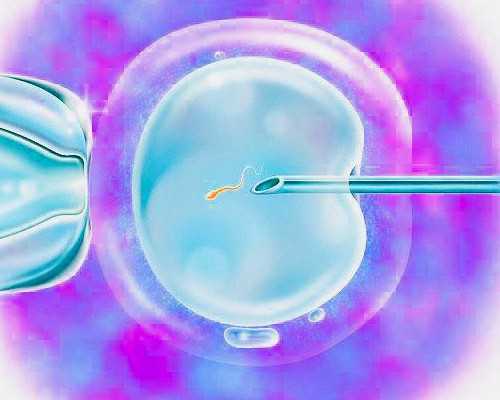 武汉供卵加上代孕费用是多少,试管能选择性别吗【武汉助孕公司哪家好】