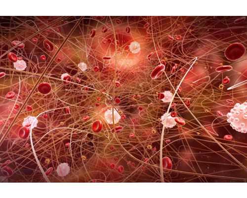 武汉代孕宝宝价格,生命的传承!武汉供卵试管成功率