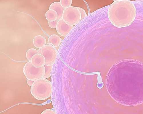 武汉5A级代孕公司,武汉锦欣三代试管(武汉三代试管机构在哪里)