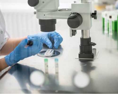 武汉供卵去哪里供,武汉试管包成功费用,武汉试管包成功机构