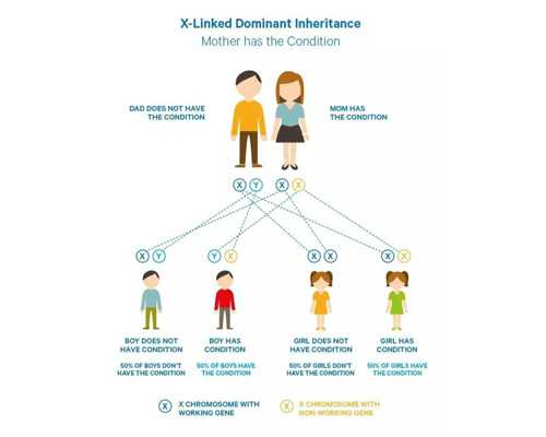 武汉供卵中心排名榜,在武汉做试管婴儿需要花费多少钱？,武汉试管婴儿的基本