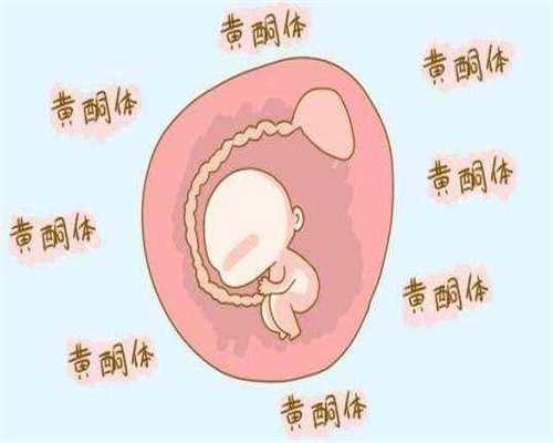 武汉找个女人代孕多少钱_武汉有代孕中心吗_365助孕计划：不正常的输卵管造影
