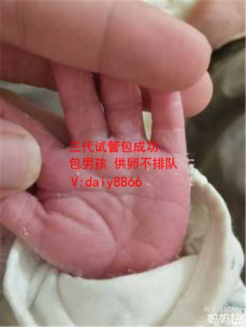 浙江借卵产子_三代试管婴儿出生后都是健康聪明的吗？