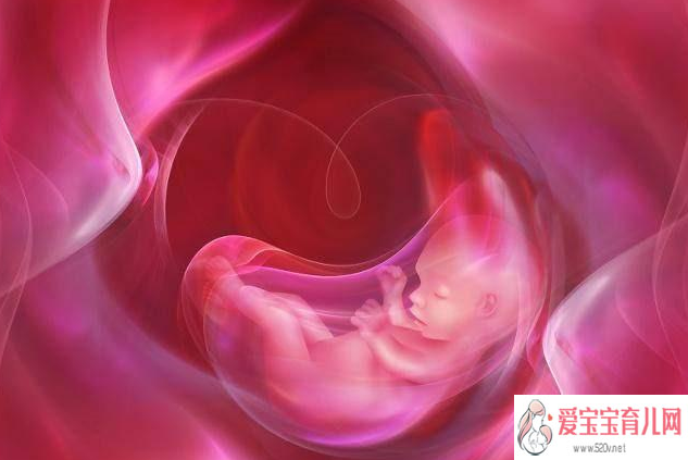 广东正规供卵_试管婴儿胚胎移植后几天着床？有什么征兆么？